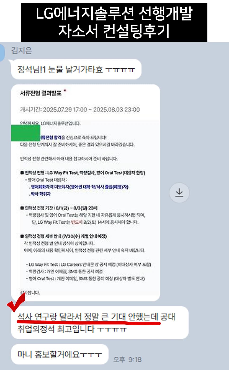 LG에너지솔루션 선행개발 자소서 컨설팅 후기