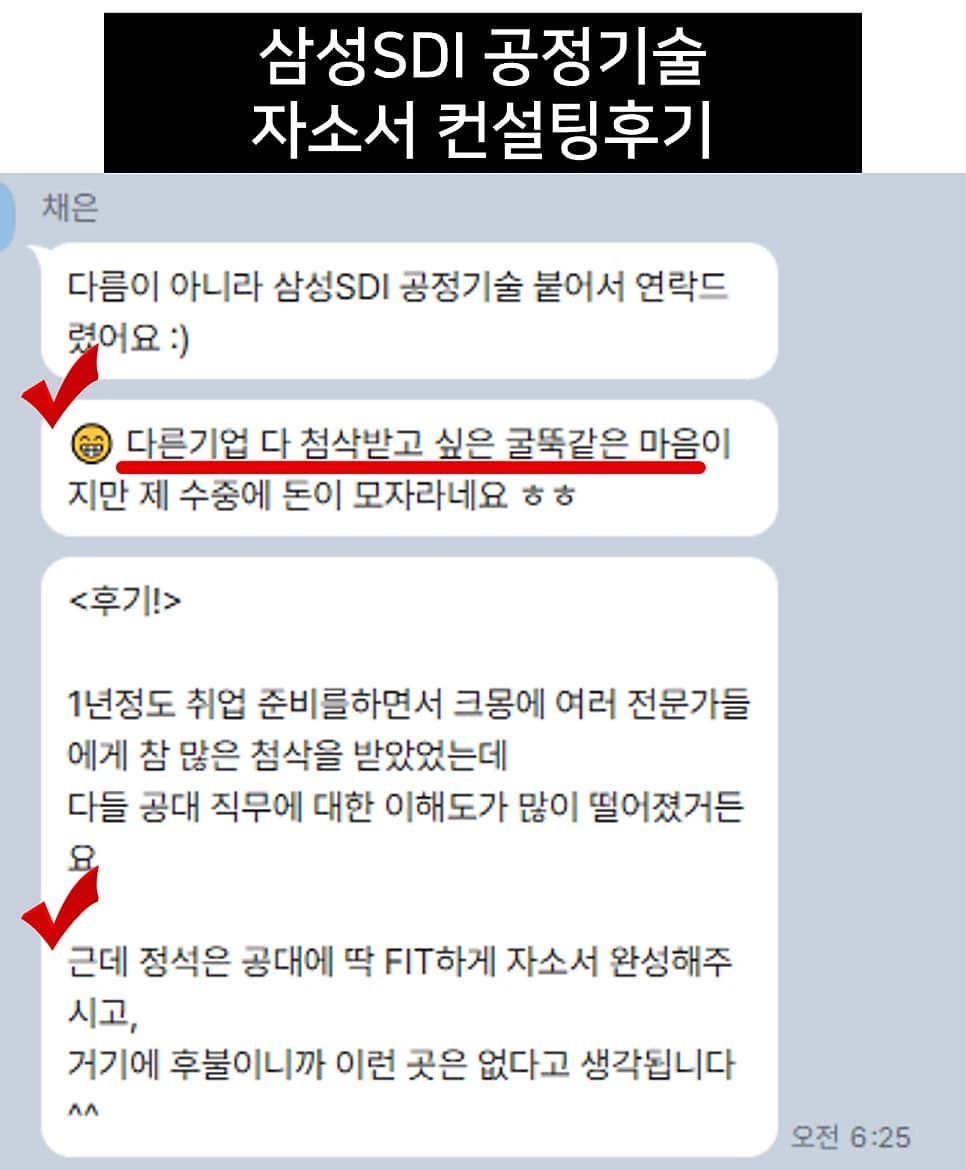삼성SDI 공정기술 자소서 컨설팅 후기